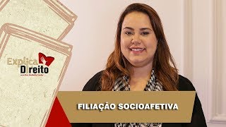 Explica Direito Filiação Socioafetiva  2019 [upl. by Euqinobe]