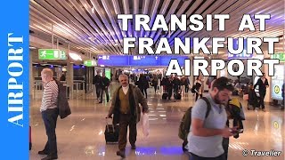 TRANSIT WALK AT FRANKFURT Airport FRA Terminal 1  Connection Flight Transfer Arriving amp Departing [upl. by Fisa]